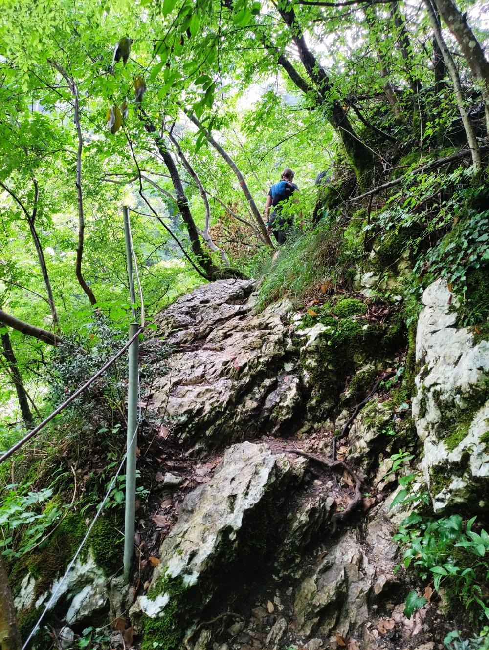 Wanderung 6 der 7 Wasserfälle: Über Felsstufen