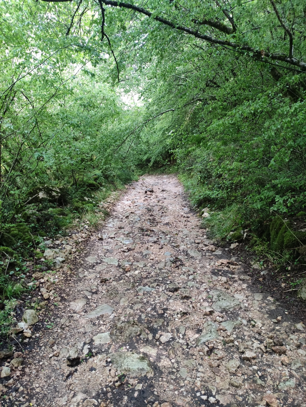 Wanderung 6 der 7 Wasserfälle: Karrenweg