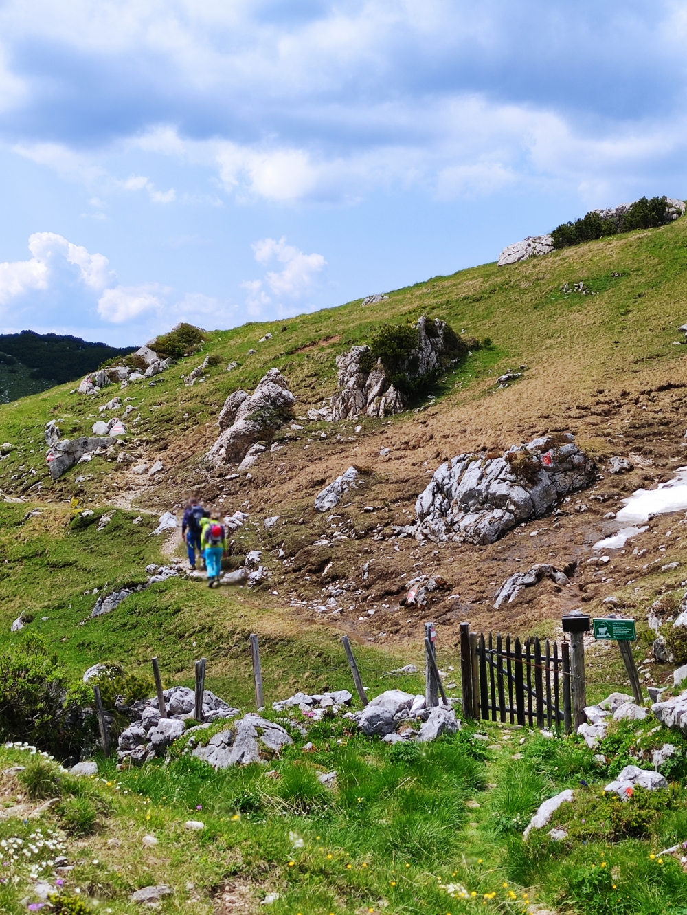 Bike & Hike Rofanspitze: Bike & Hike Rofanspitze: Weg zur Angerer Alm (Marchgatterl)