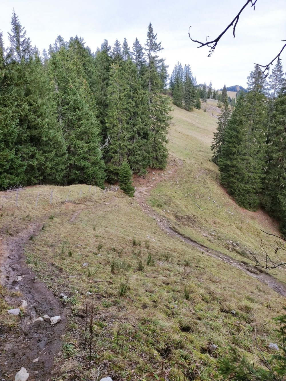 Wanderung Schönberg: Wanderung Schönberg: Mariaeck