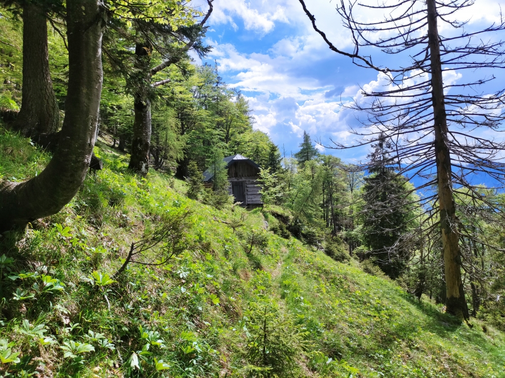Klettersteig Feuerkogel-Abstieg über Kaiserweg: Klettersteig Feuerkogel-Abstieg über Kaiserweg: Maxhütte