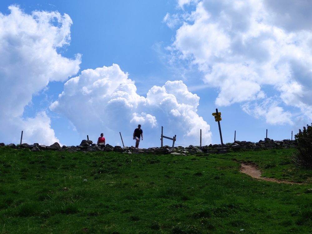 Wanderung Rotwand und Taubensteinhaus: Wanderung Rotwand und Taubensteinhaus: Sattel (Miesingsattel)