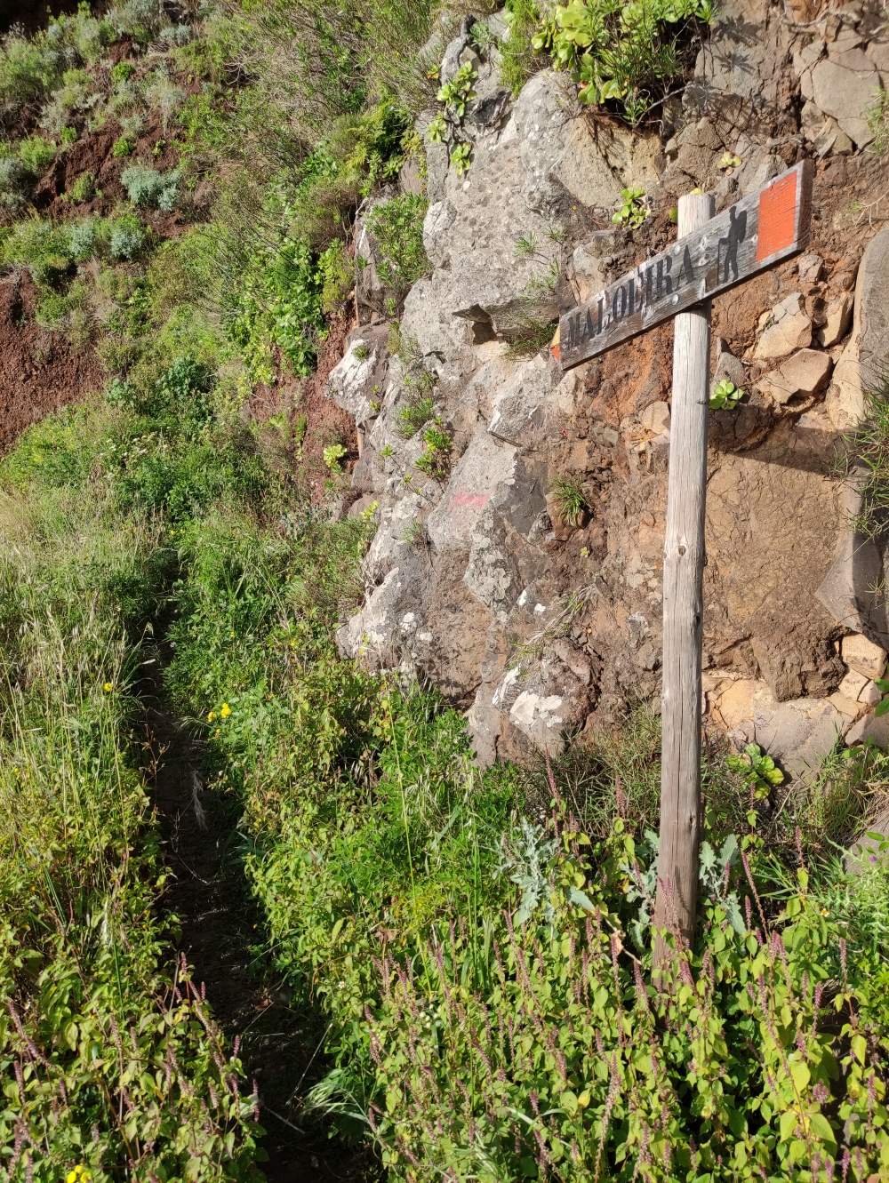 Wanderung Miradouro da Raposeira: Hier links Richtung Raposeira