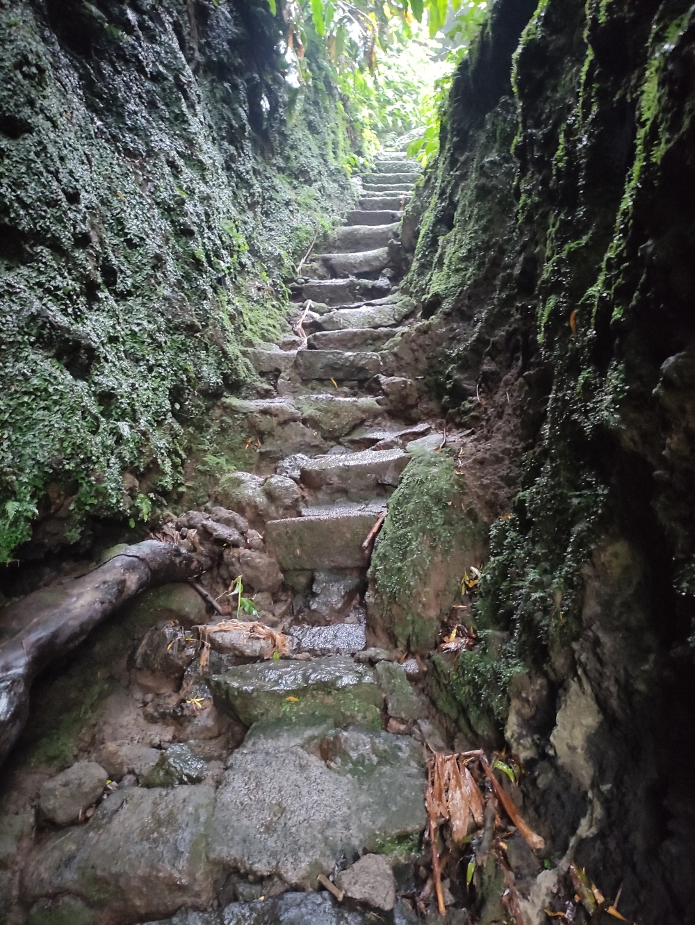 Wanderung Miradouro Pico do Ferro: Steig zum Aussichtspunkt