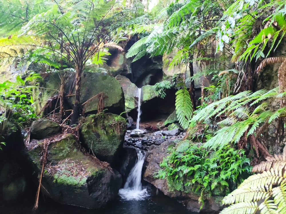 Wanderung Frechas Agualva: Zum Wasserfall