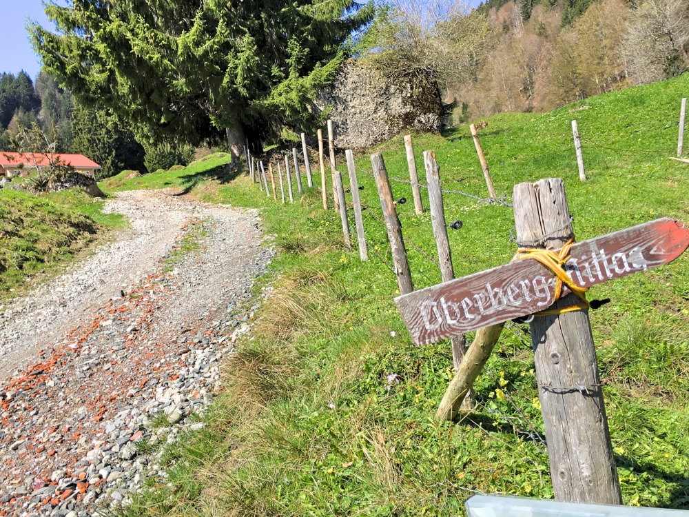 Wanderung Mittag: Aufstieg