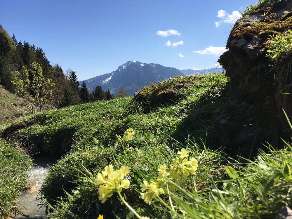 Wanderung Mittag: Blick auf den Grünten