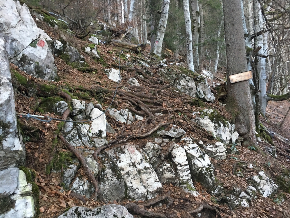 Pfötsching -> Mittagskogel: Oberhalb der Reiteralm