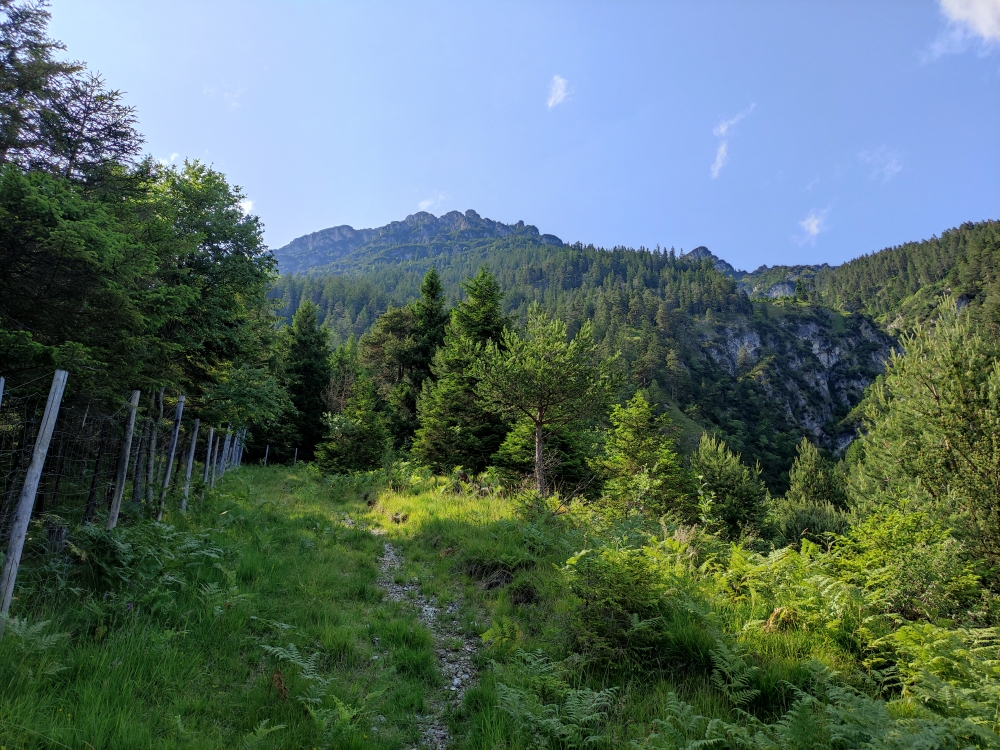 Wanderung Mittergern: Am Wild-Zaun entlang