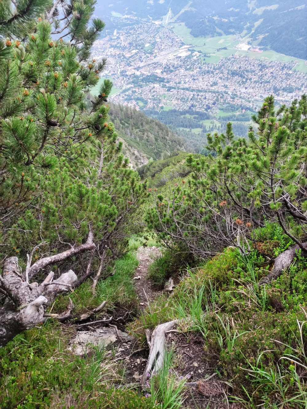 Wanderung Mittergern: Durch die Latschen