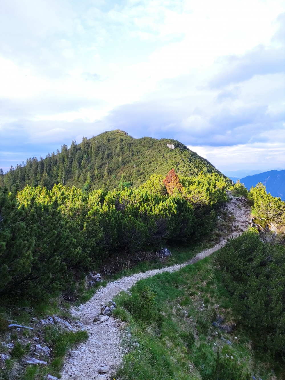 Wanderung Mittergern: Weg
