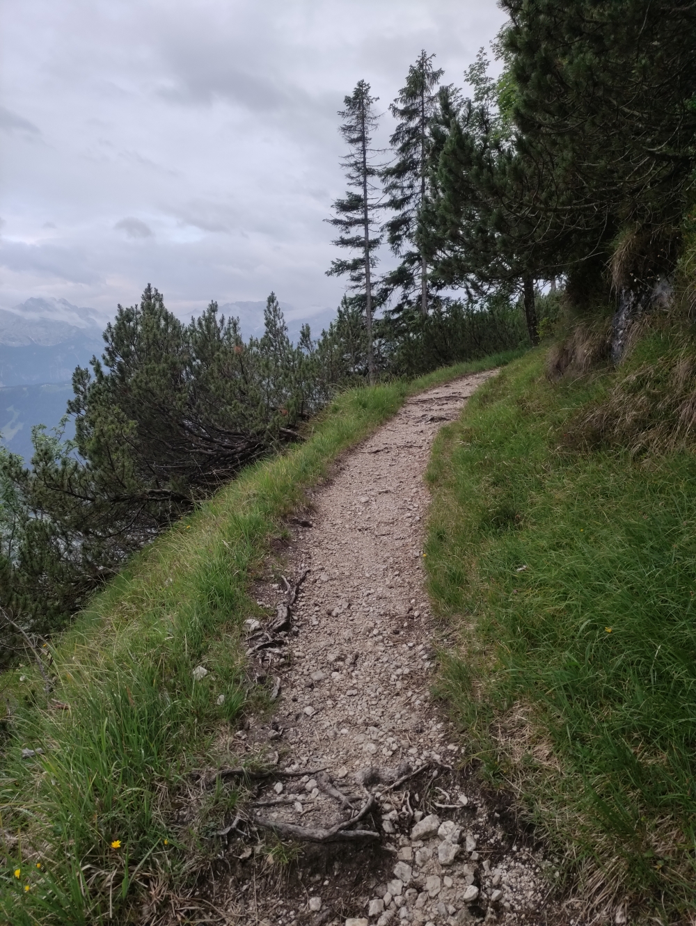 Wanderung Mittergern: Ehemaliger Reitweg von König Max