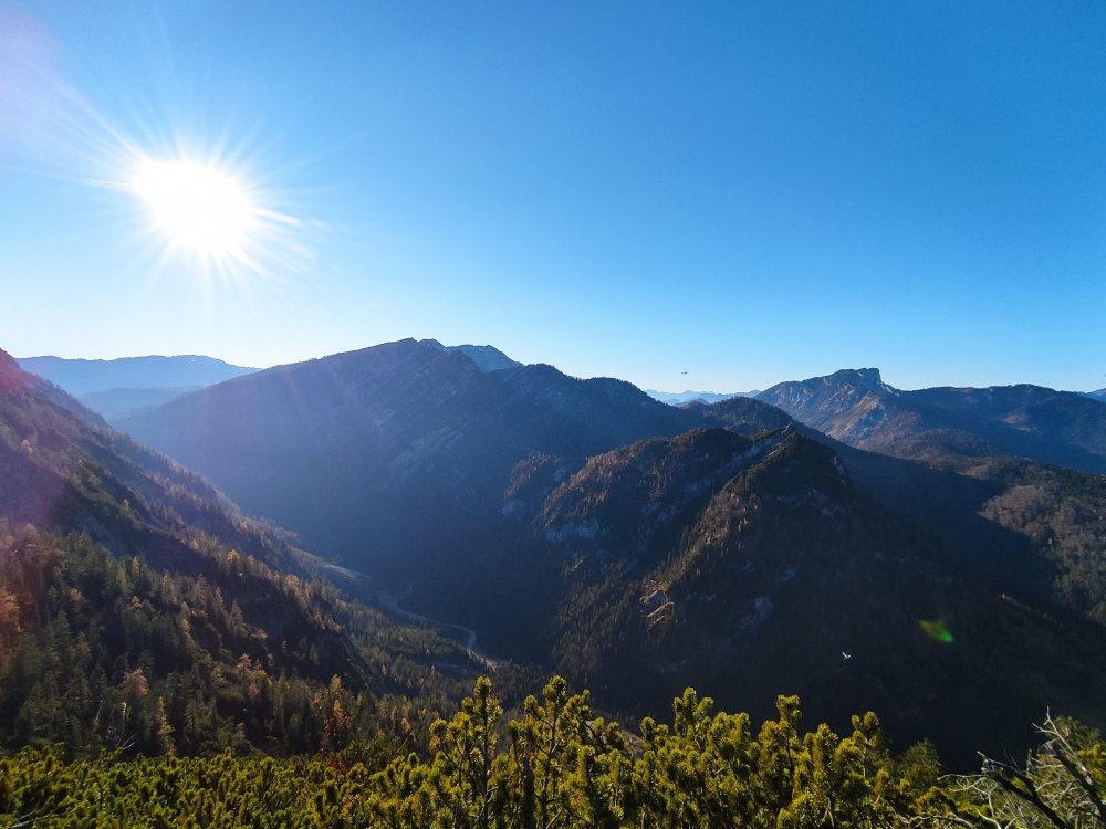 Wanderung Saurüsselkopf: Wanderung Saurüsselkopf: Blick nach Südwesten mit Saurüsselkopf im Vordergrund, Hörndlwand hinten rechts und links hinten dem Kamm vom Hochbrunstkopf über Wildalphorn zum Dürrnbachhorn