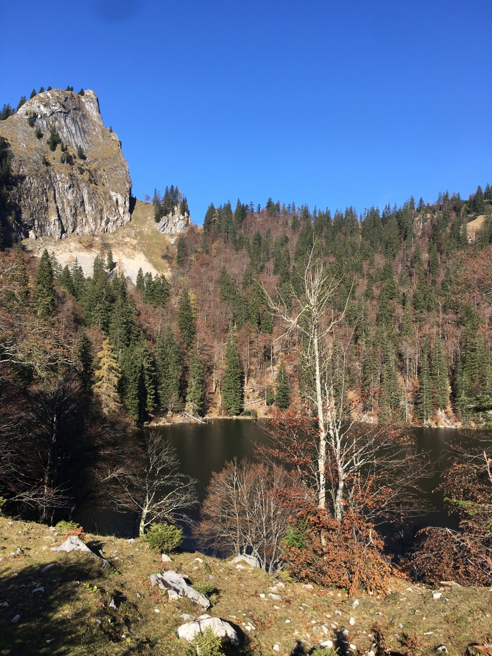 Wanderung Schafberg vom Schwarzensee: Wanderung Schafberg vom Schwarzensee: Blick auf den Mönichsee (Mönichsee-Sattel)