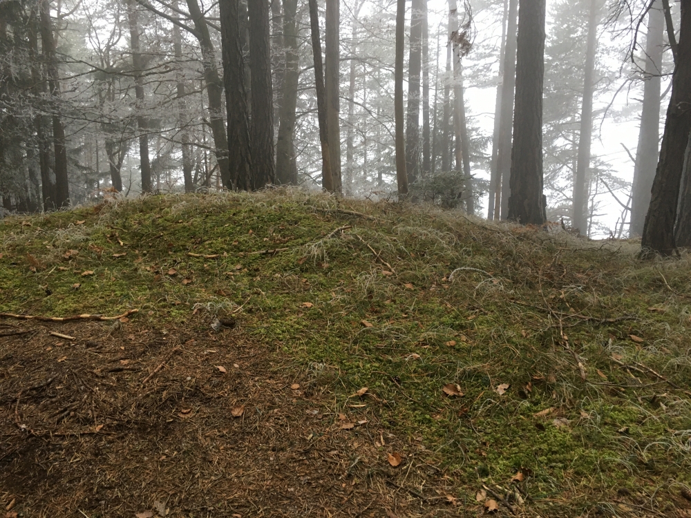 Wanderung Großer Solstein: Wanderung Großer Solstein: Kein Gipfelkreuz am Möslkopf