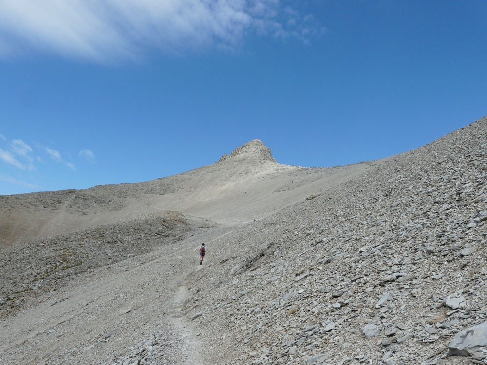 Mont Pelat -> Refuge du Lac d'Allos Massif du Pelat: Mont Pelat