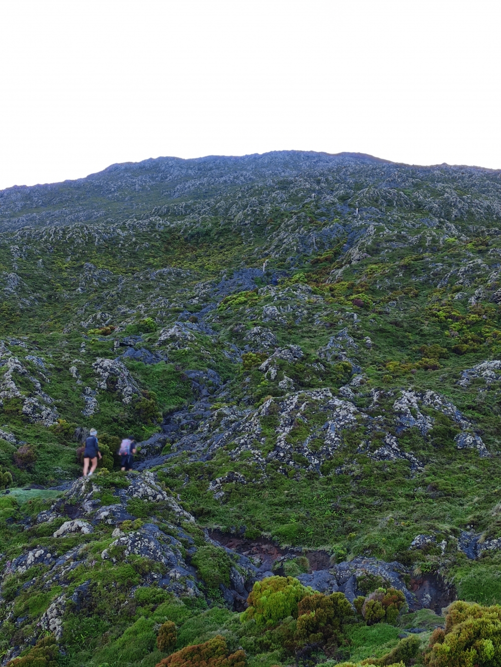 Wanderung Montanha do Pico: Fast Direttissima