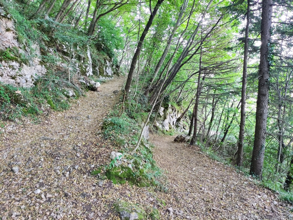Wanderung Monte Pravello: Serpentinen
