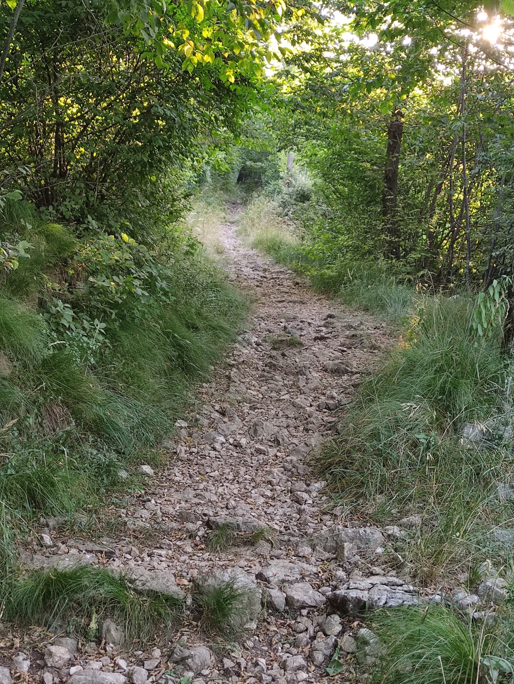 Wanderung Monte Pravello: Weg