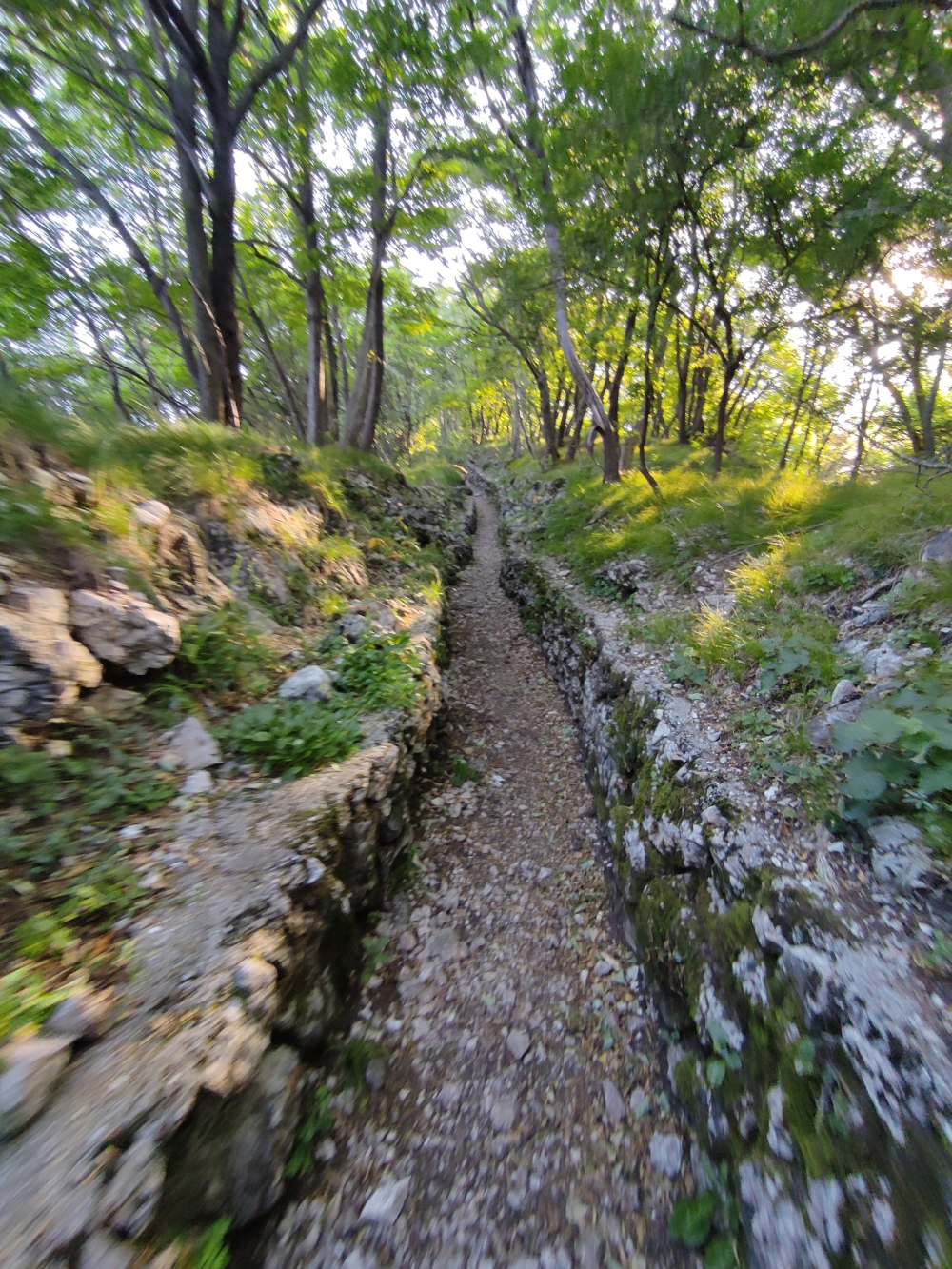 Wanderung Monte Pravello: Zum Gipfel