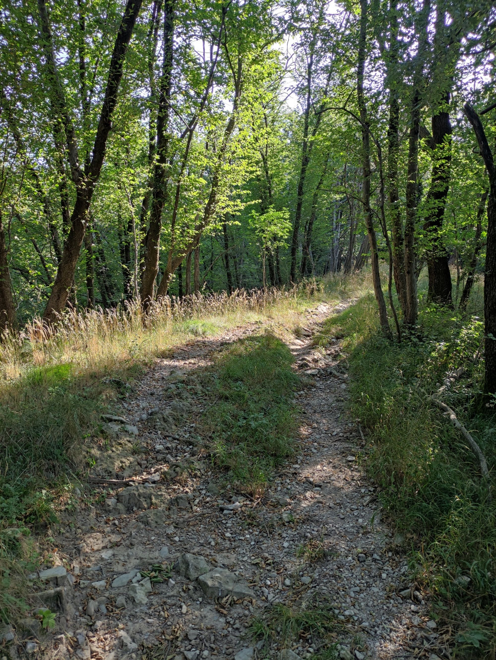 Wanderung Monte Pravello: Weg