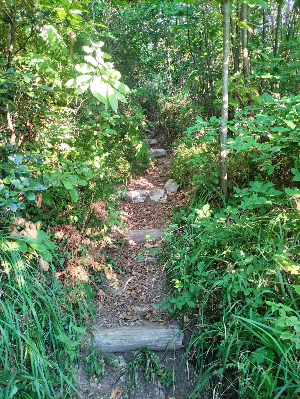 Wanderung Monte Vico Alvano: Kammweg