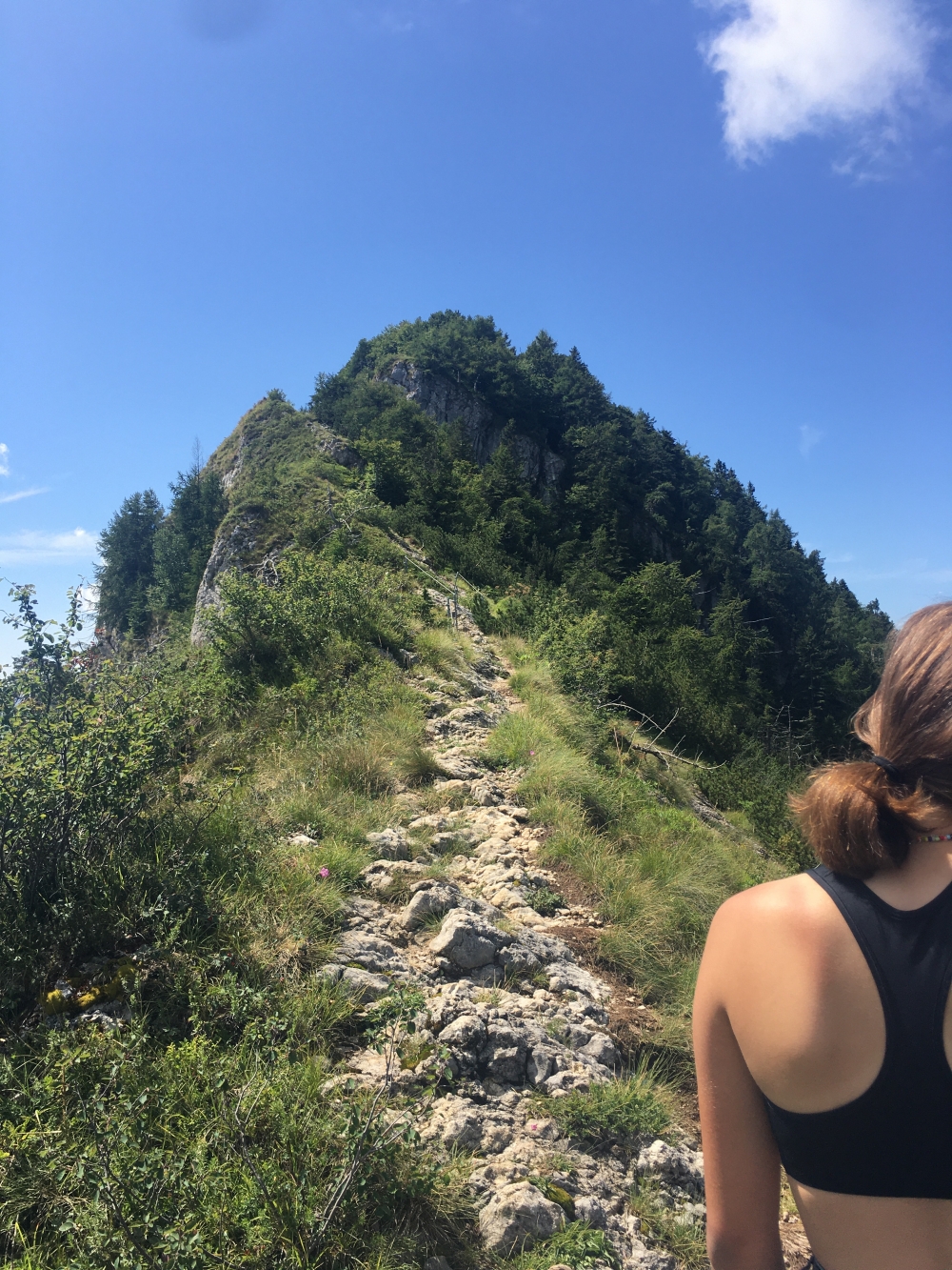 Wanderung Monte Biaena: Kammweg zum Gipfel