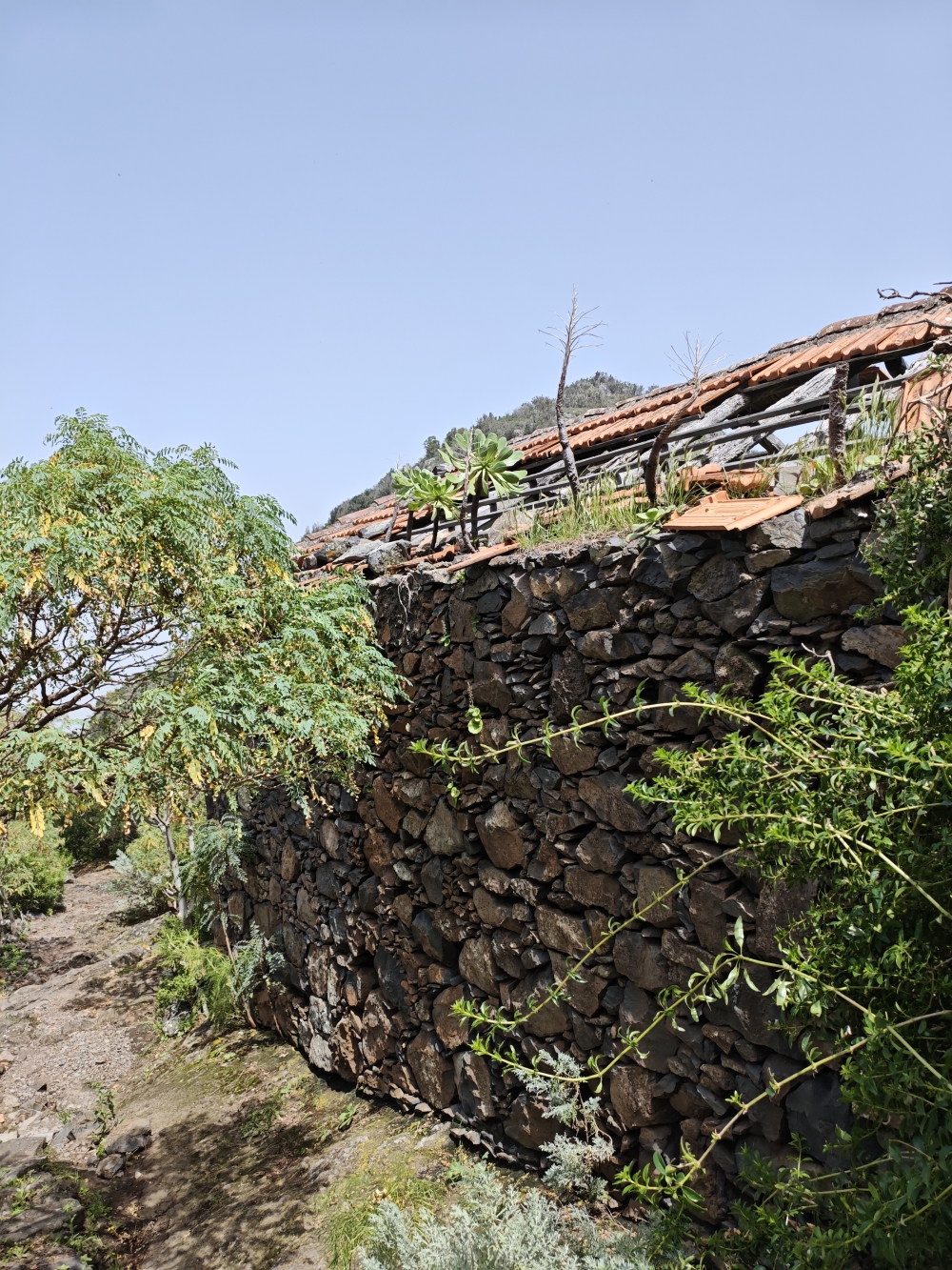 Wanderung Cuevas Negras und Monte del Agua: Wanderung Cuevas Negras und Monte del Agua: Ruinen (Moradas de Abajo)