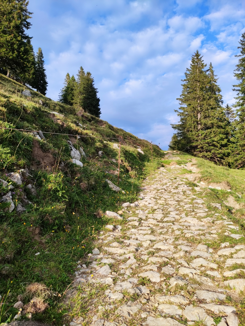 Wanderung Mühlhörndl: Alter Karrenweg