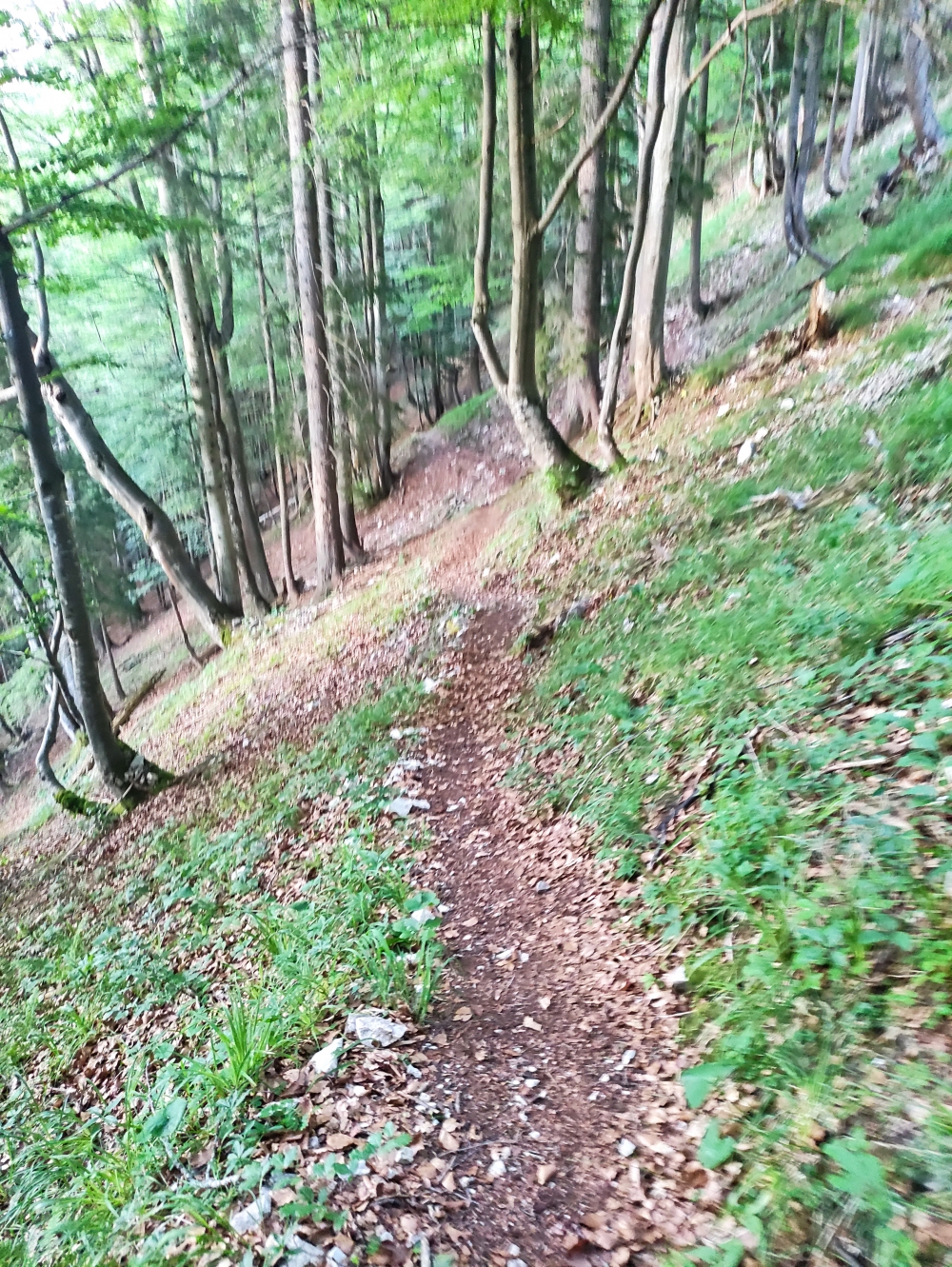 Wanderung Mühlhörndl: Zwischen Schachenalm und Schreck Alm