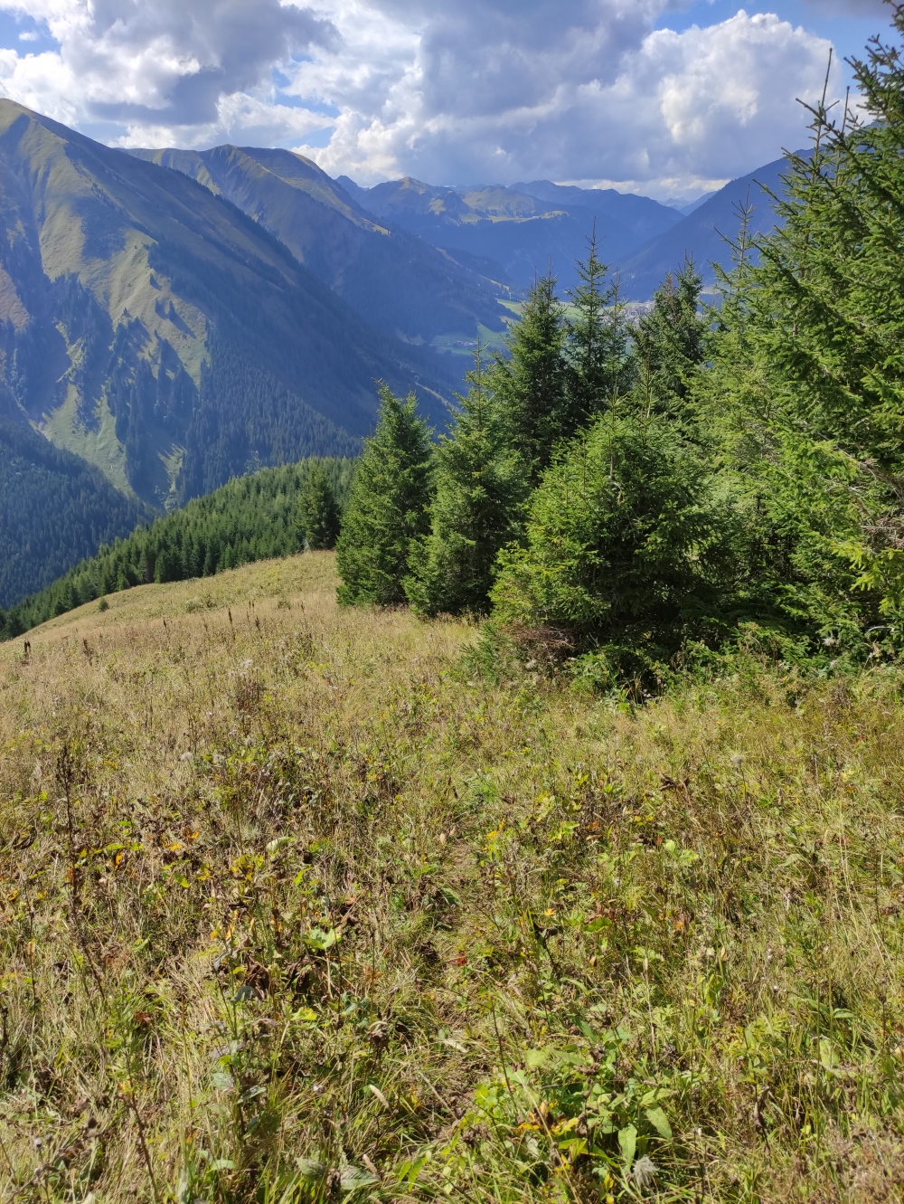 Wanderung Bleispitze: Wanderung Bleispitze: Der Weg ist schwer zu finden