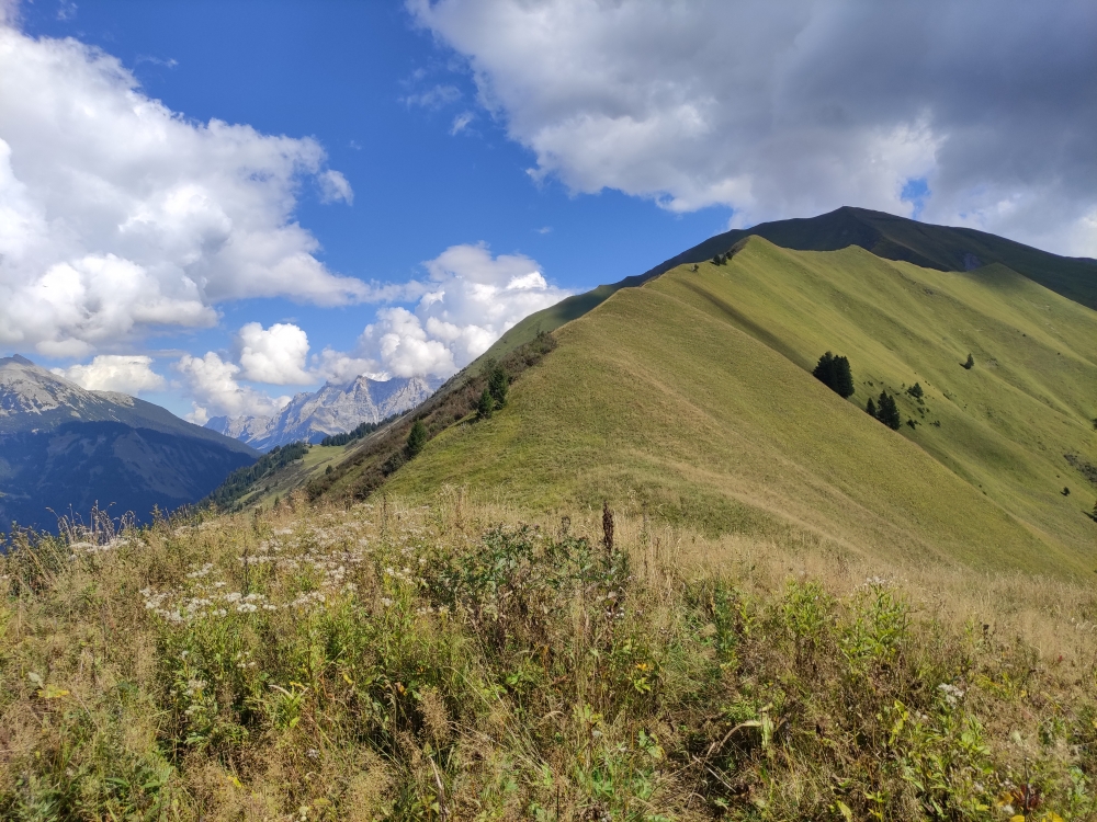 Wanderung Bleispitze: Wanderung Bleispitze: Am Mühlwaldköpfl mit Blick auf den Weg zum Mähbergjoch