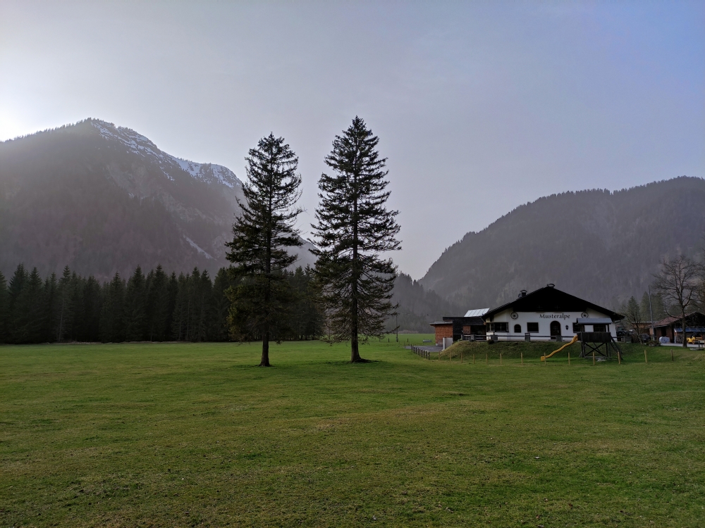 Wanderung Geierköpfe-Westgipfel: Wanderung Geierköpfe-Westgipfel: Musteralpe