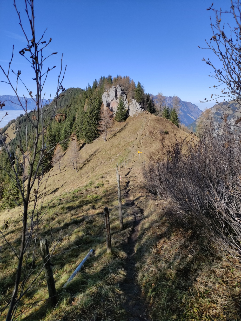 Wanderung Pfälzerhütte nach Steg: Über den Heubüal