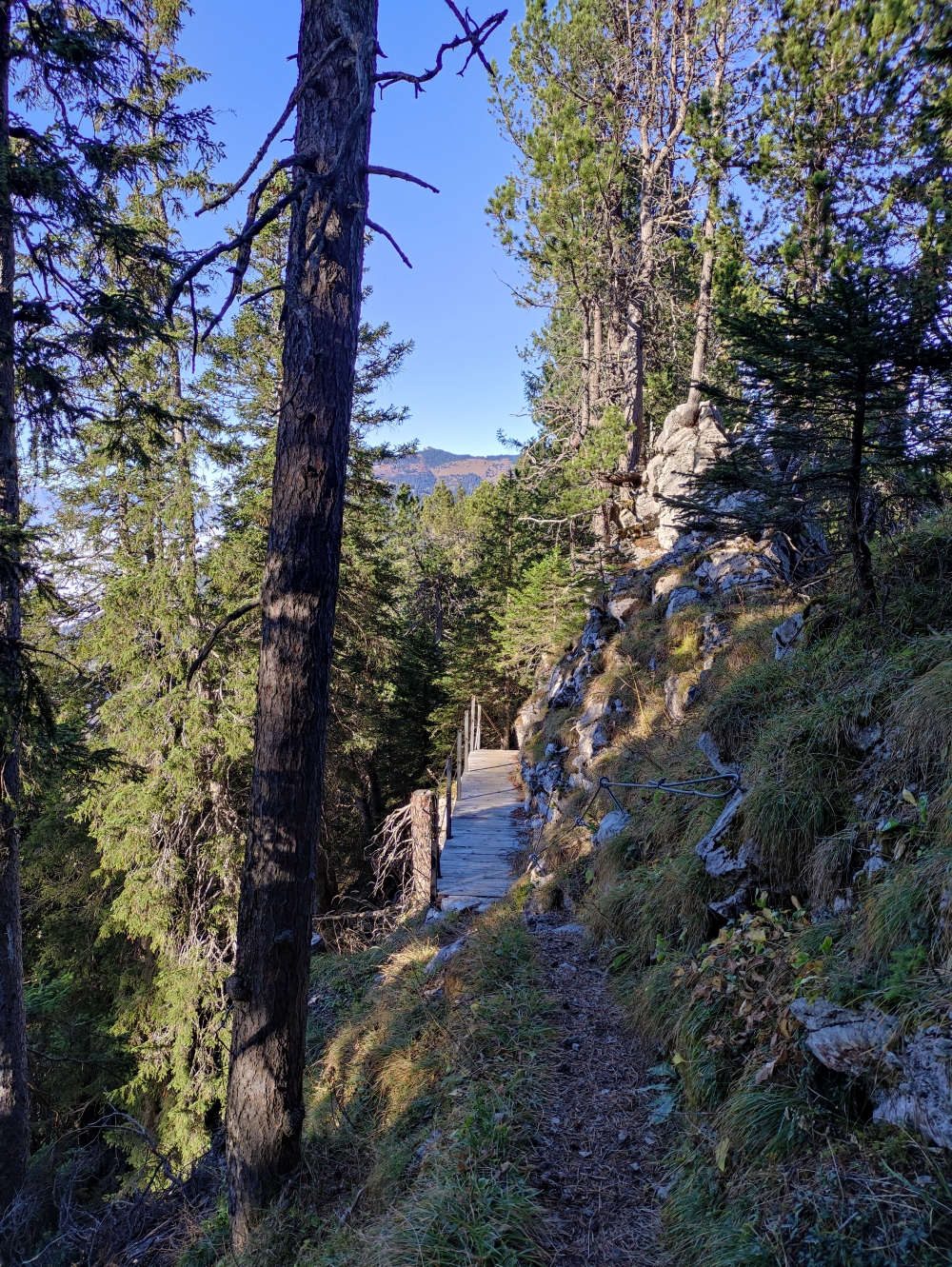 Wanderung Pfälzerhütte nach Steg: Weg