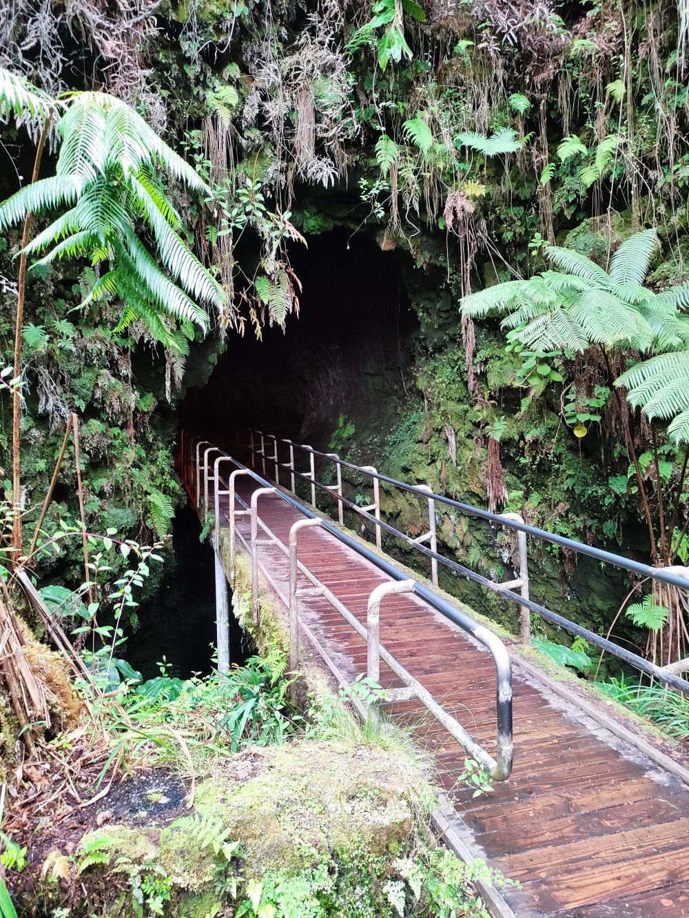 Wanderung Nahuku Lava Tube Trail: Wanderung Nahuku Lava Tube Trail: Eingang in den Lavatunnel (Nahuku - Thurston Lava Tube (Eingang))