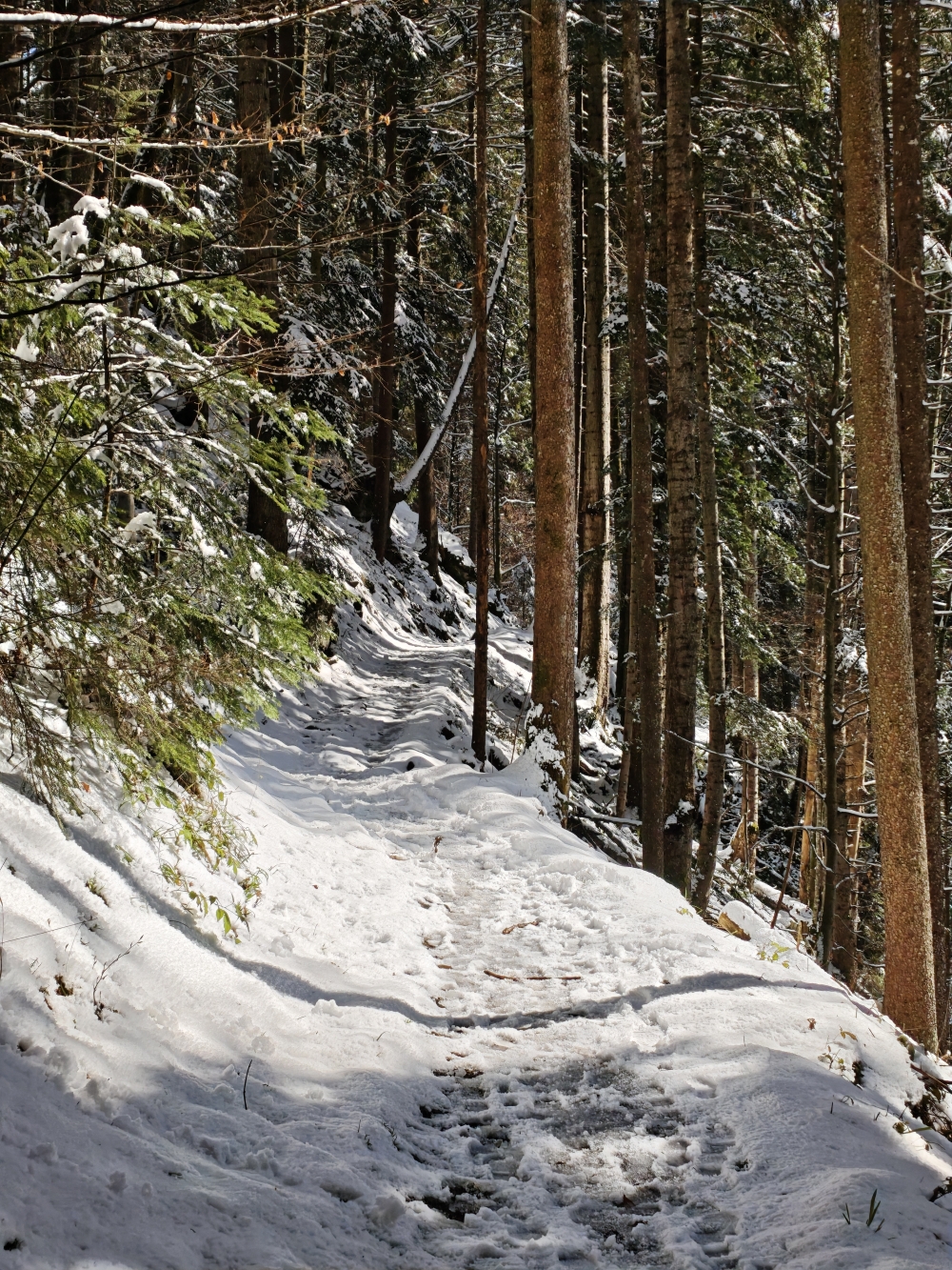 Wanderung Nesselscheibe: Aufstieg