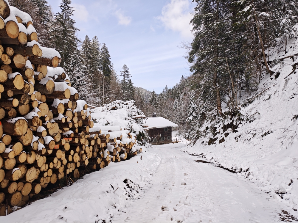 Wanderung Nesselscheibe: An der Breitenbach Winterstube vorbei