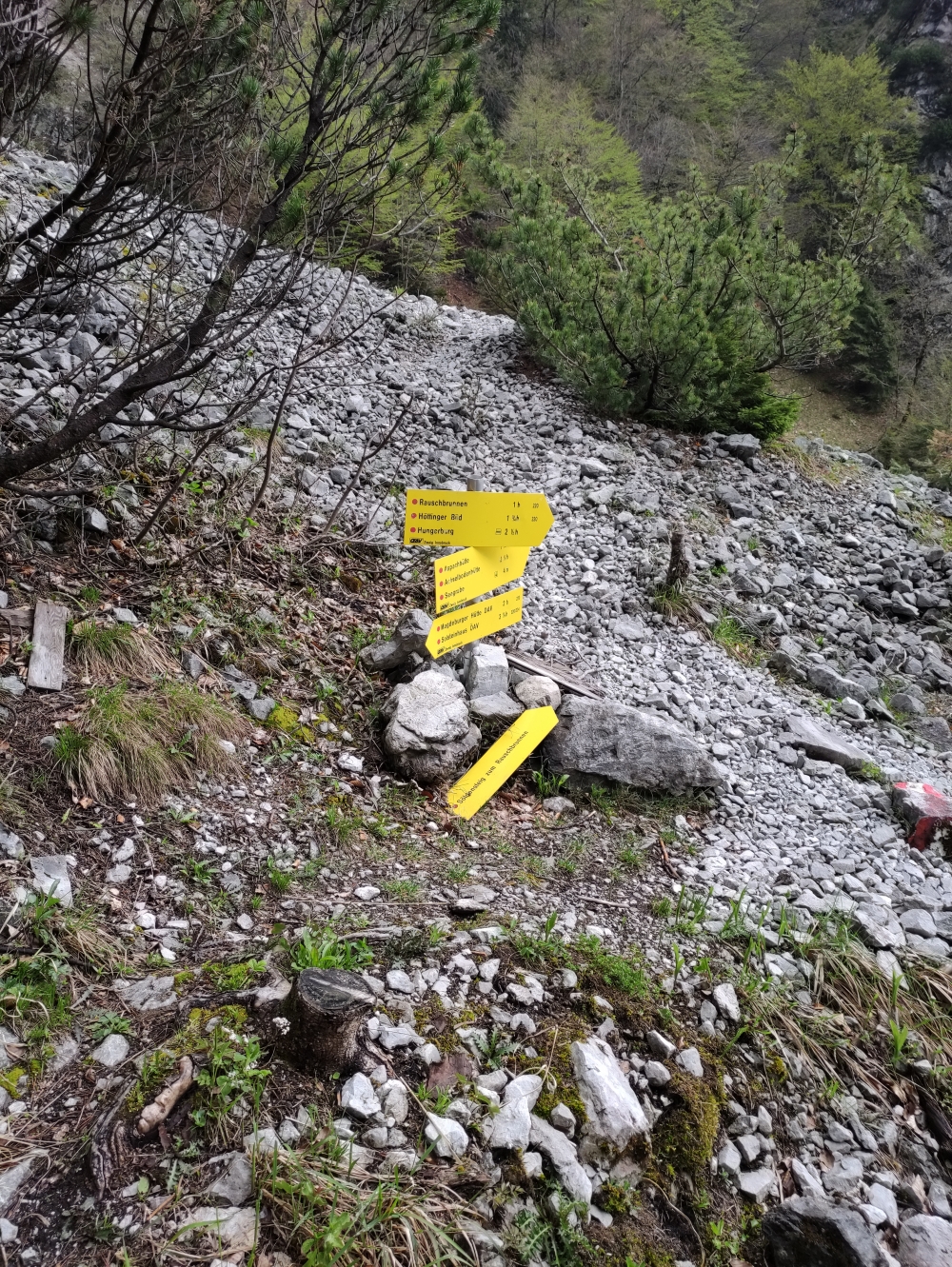 Wanderung Neue Magdeburger Hütte: Im Kar nach dem Mittereck rechts bergab zum Söldensteig