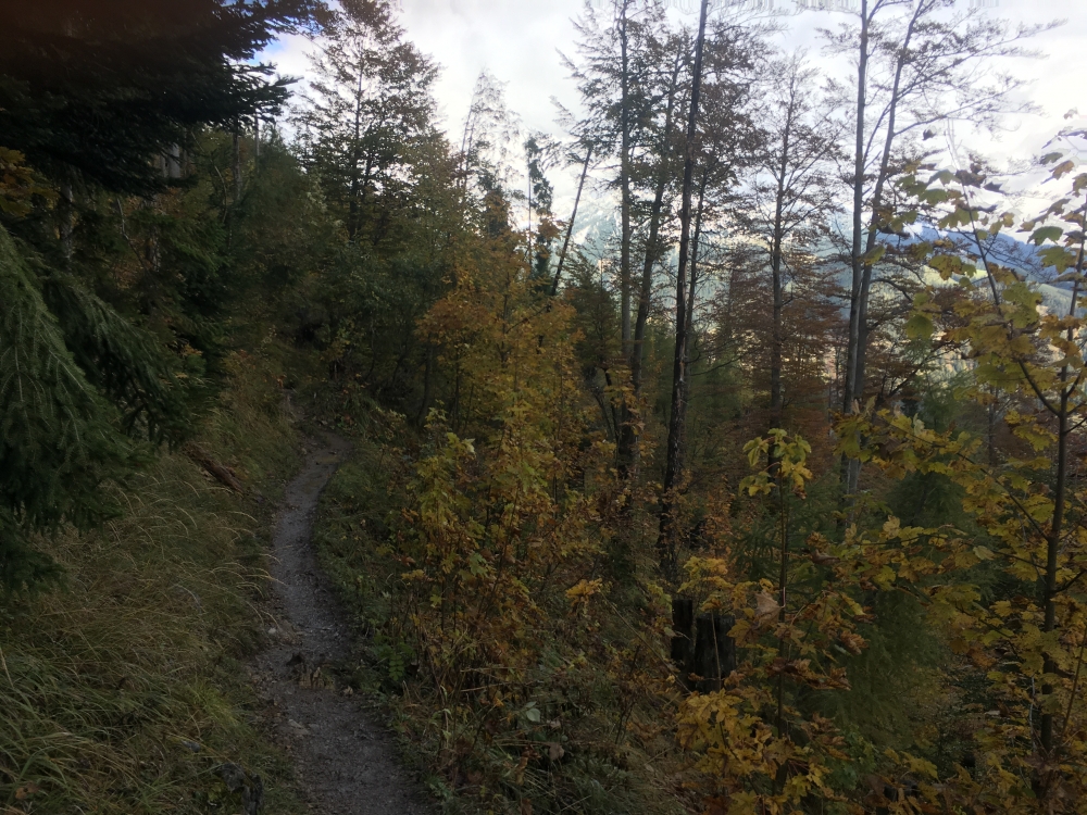 Wanderung Seebergkopf: Wanderweg
