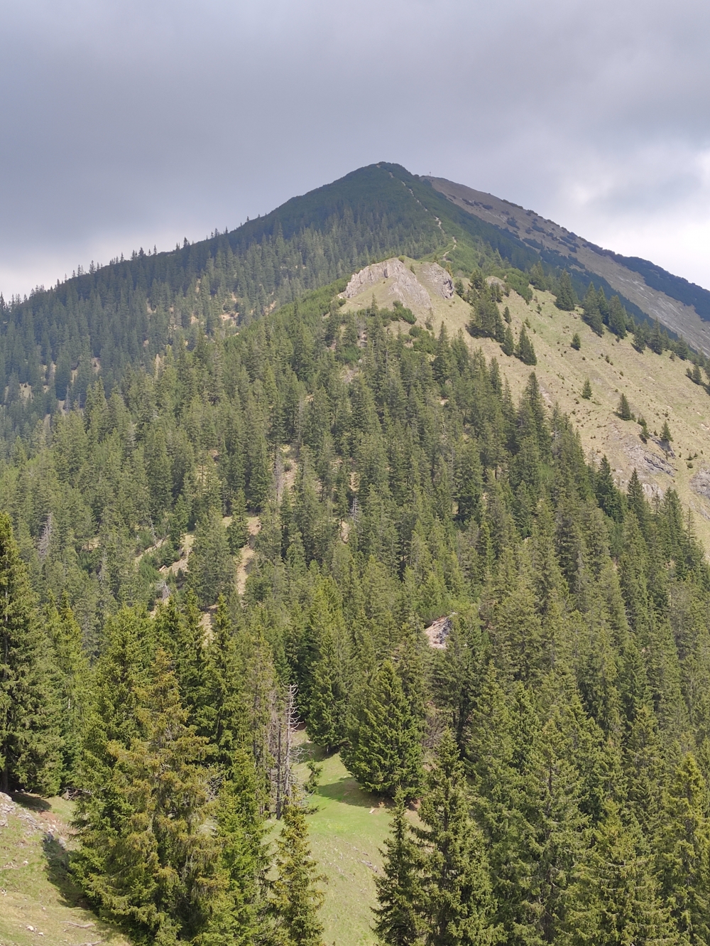 Wanderung Notkarspitze: Der Weg vom Hasenjöchl zur Notkarspitze