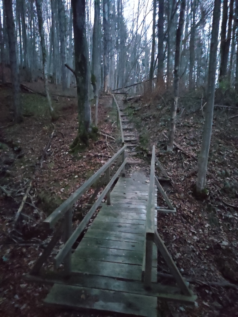 Wanderung Nußlberg: Unten der Höhenweg