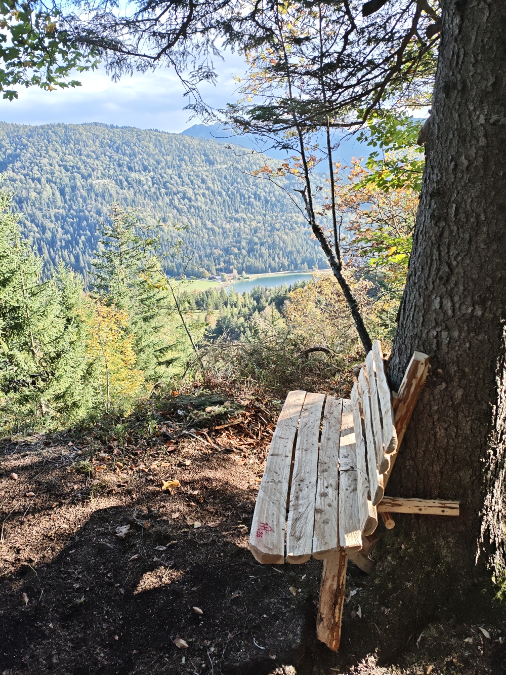 Wanderung Obere Wettersteinspitze: Aussichtsbank mit Ferchensee-Blick