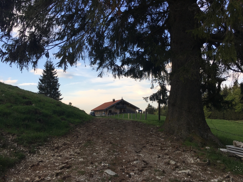 Wanderung Baumgartenschneid: Wanderung Baumgartenschneid:  (Obere Krainsberger Alm)