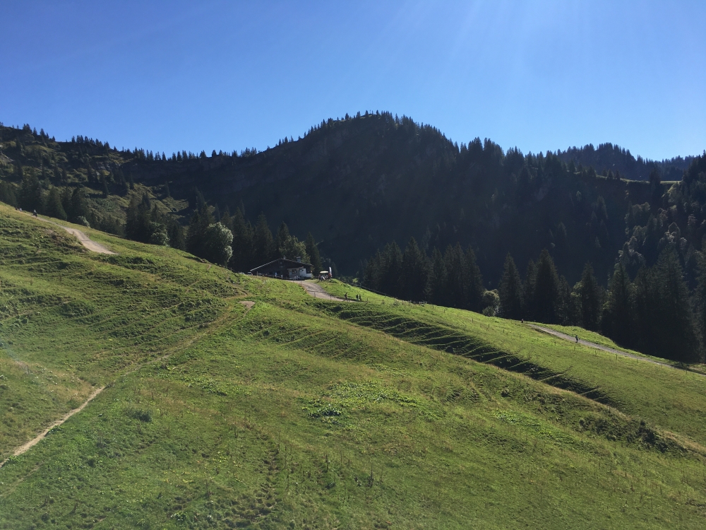 Wanderung Hochgrat: Wanderung Hochgrat: Obere Lauch Alpe