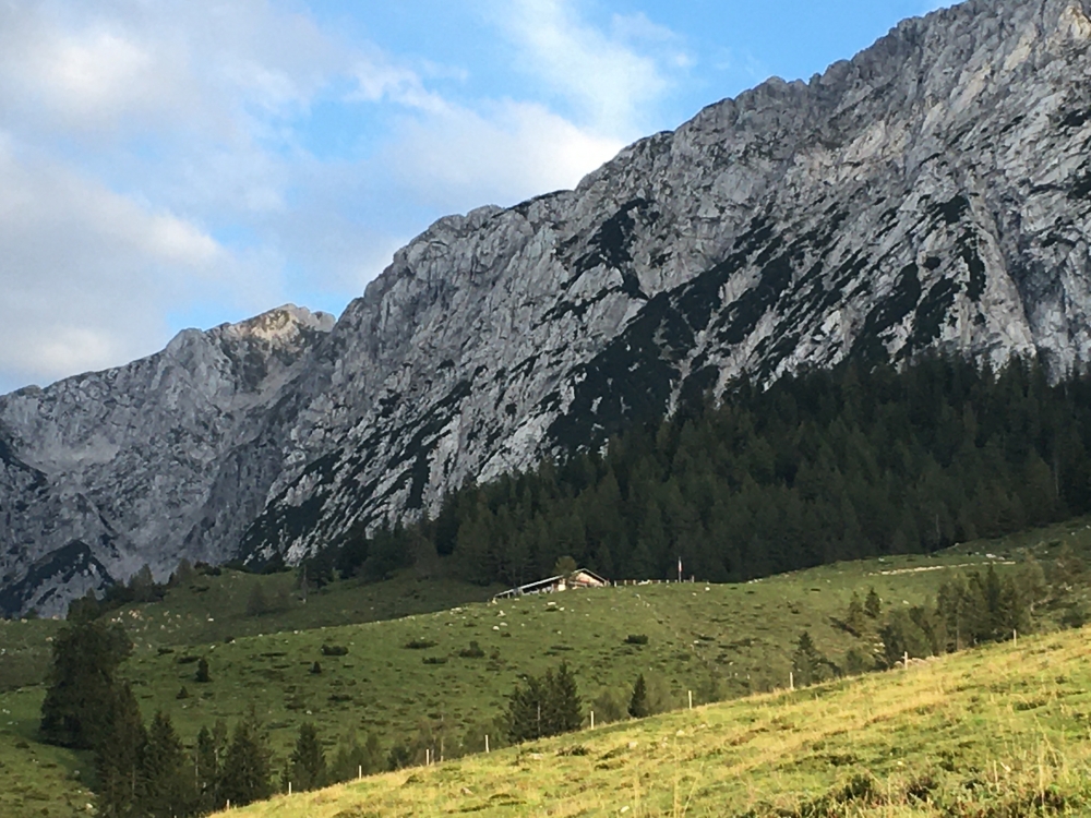 Obere Steinbergalm: Obere Steinbergalm