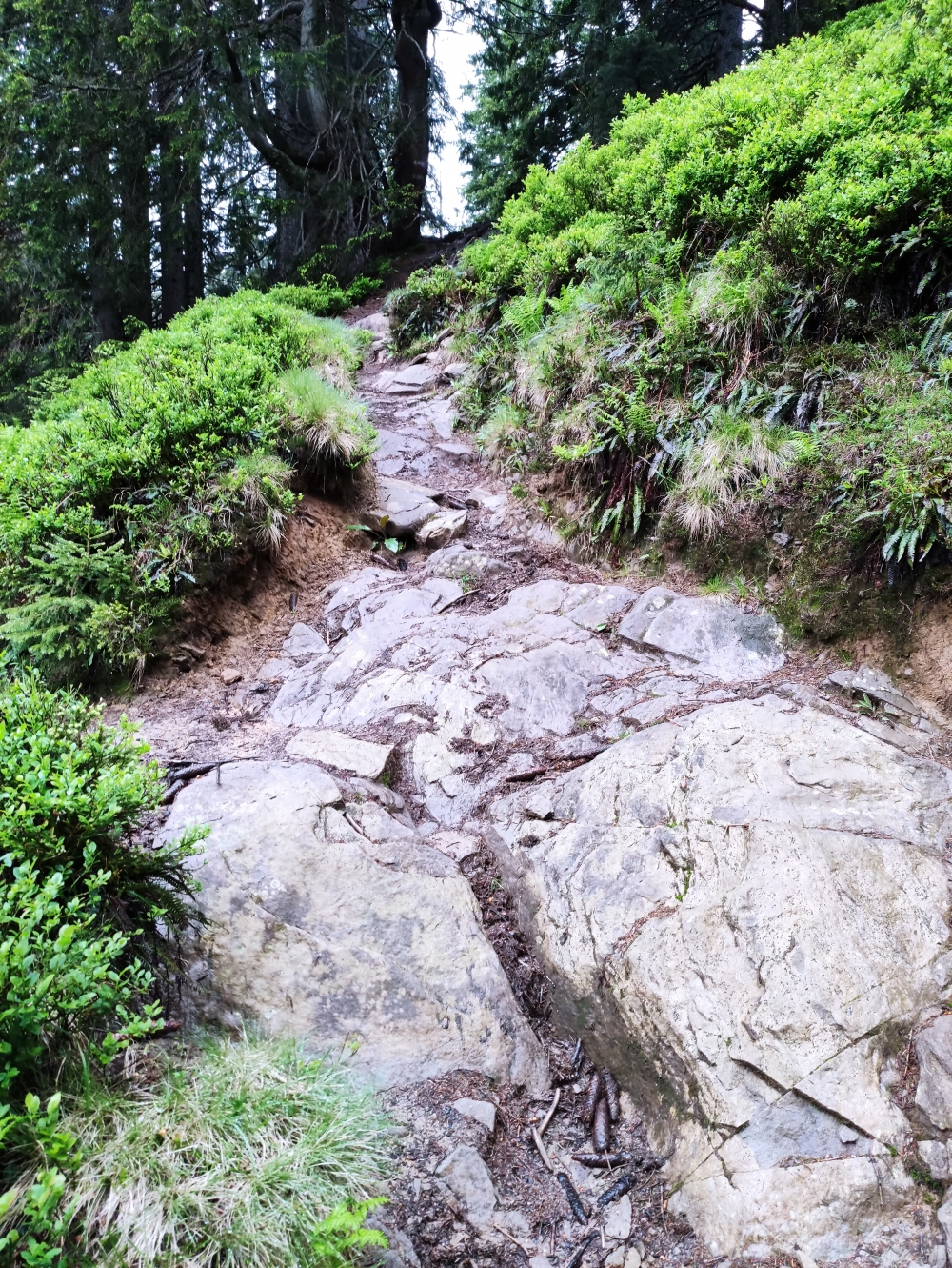 Bike & Hike Ochsenkopf: Aufstieg zum Gipfel