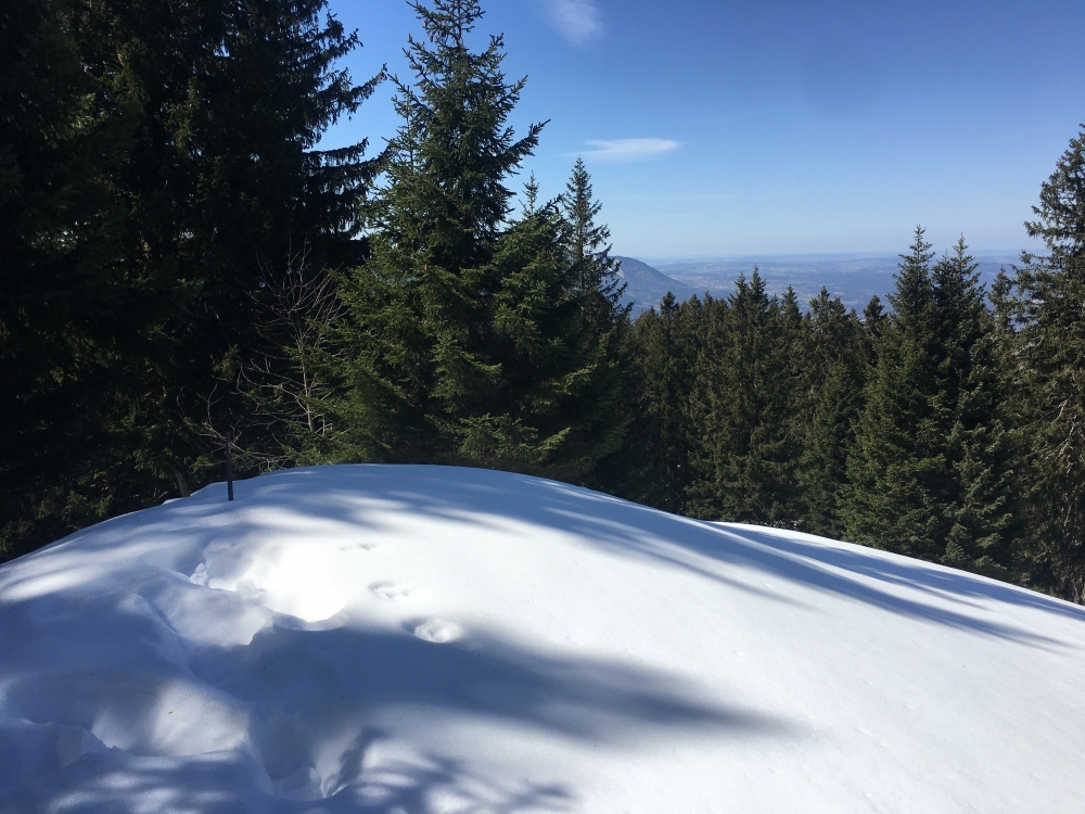 Wanderung Hirschberg: Wanderung Hirschberg: Am Gipfel (Ölrain)