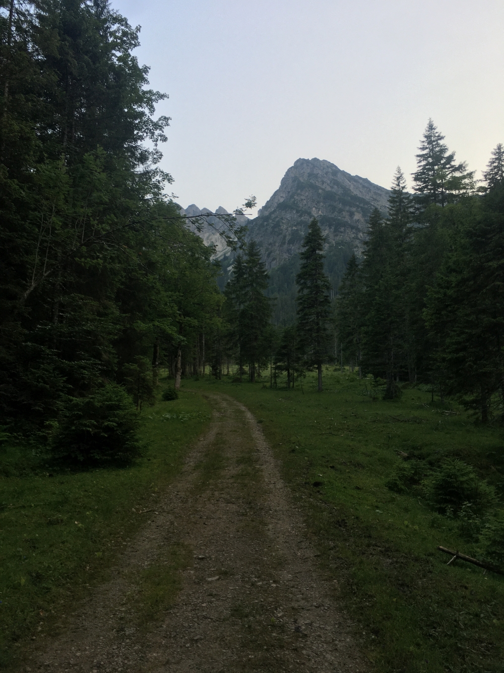 Wanderung Österreichischer Schinder: Im unteren Teil führt der Weg als Fahrstraße auf den Rothkogel zu