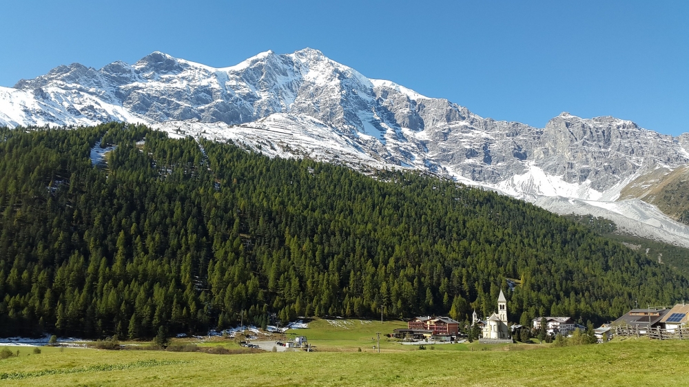 Ortler: Ortler
